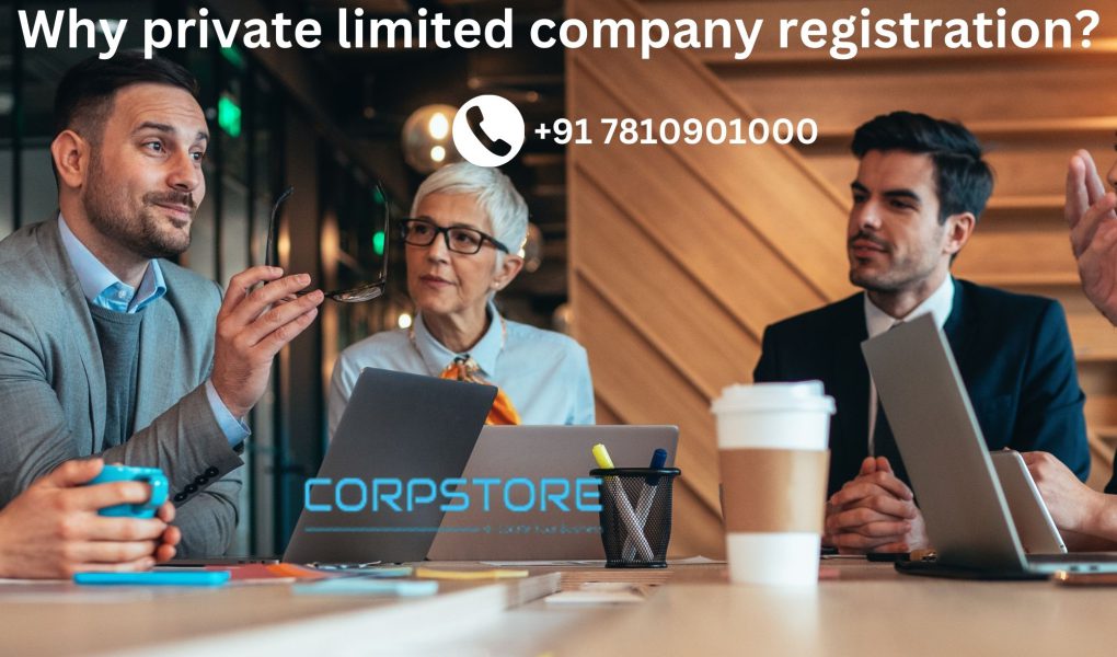 Why private limited company registration?