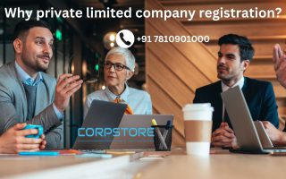 Why private limited company registration?